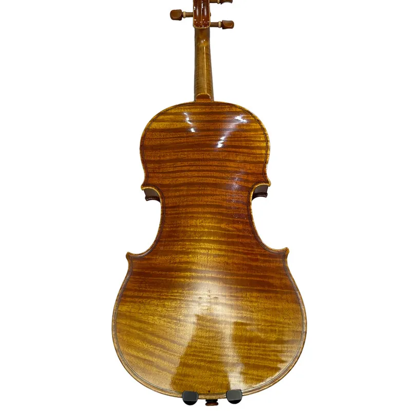 ویولن مدل Paolo Leoneri M9 - 3
