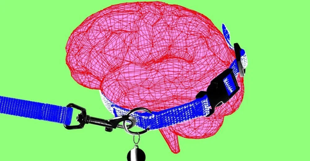 دلیل درخواست Anthropic برای کند کردن پیشرفت هوش مصنوعی